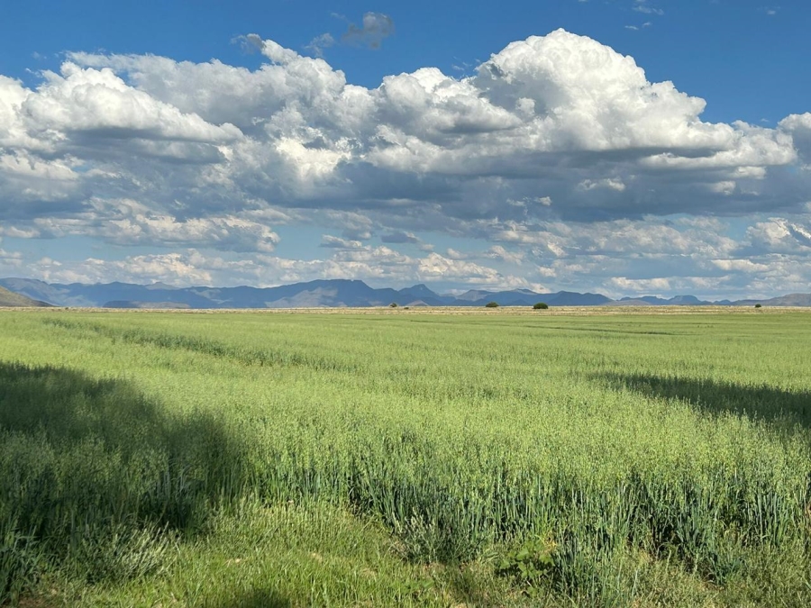 3 Bedroom Property for Sale in Zastron Rural Free State